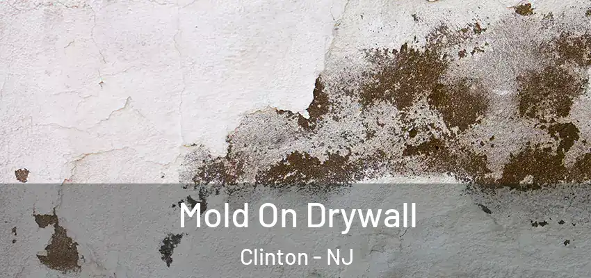 Mold On Drywall Clinton - NJ