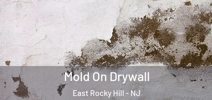 Mold On Drywall East Rocky Hill - NJ