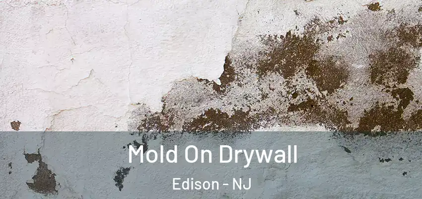  Mold On Drywall Edison - NJ