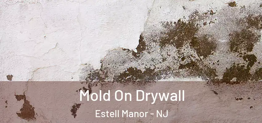  Mold On Drywall Estell Manor - NJ