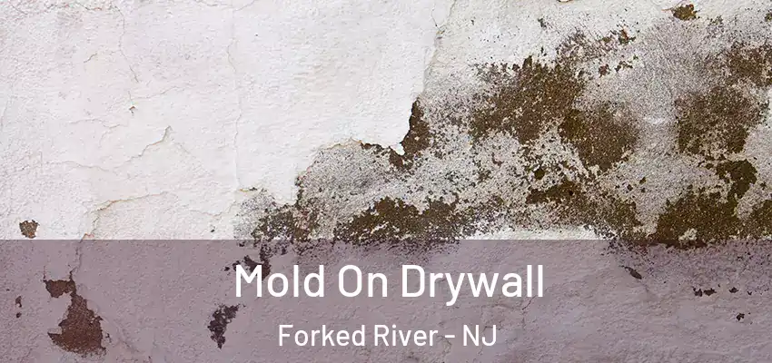  Mold On Drywall Forked River - NJ