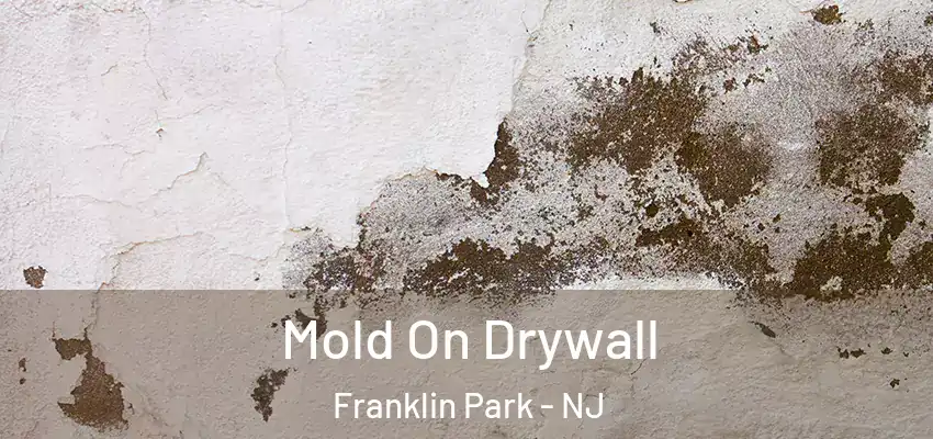  Mold On Drywall Franklin Park - NJ