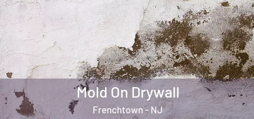  Mold On Drywall Frenchtown - NJ