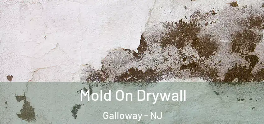  Mold On Drywall Galloway - NJ