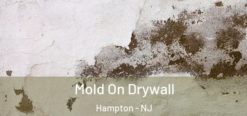  Mold On Drywall Hampton - NJ