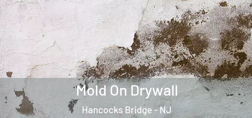 Mold On Drywall Hancocks Bridge - NJ