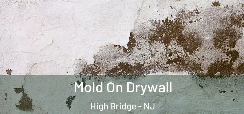 Mold On Drywall High Bridge - NJ