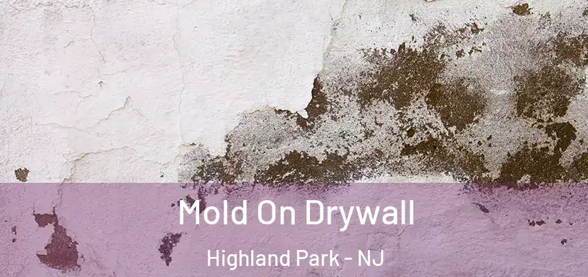  Mold On Drywall Highland Park - NJ