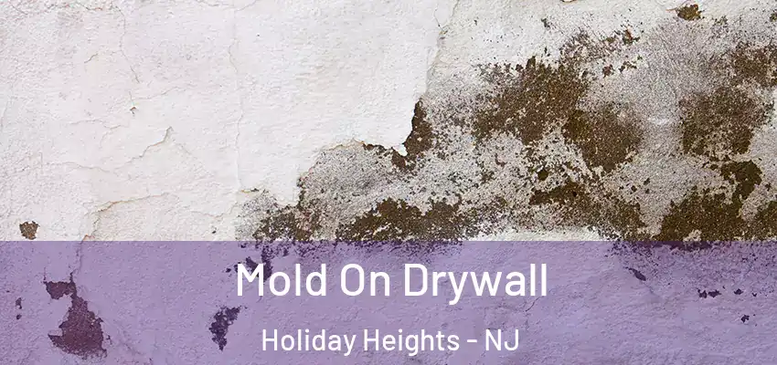  Mold On Drywall Holiday Heights - NJ