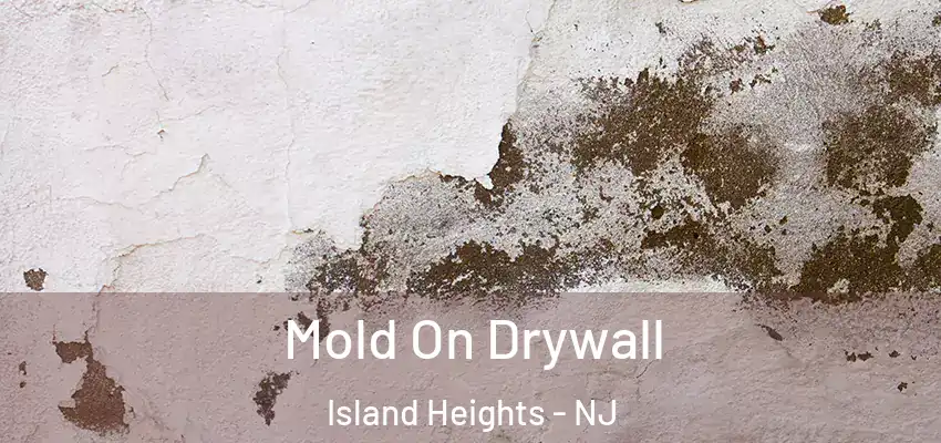  Mold On Drywall Island Heights - NJ