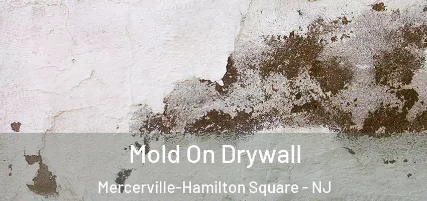 Mold On Drywall Mercerville-Hamilton Square - NJ