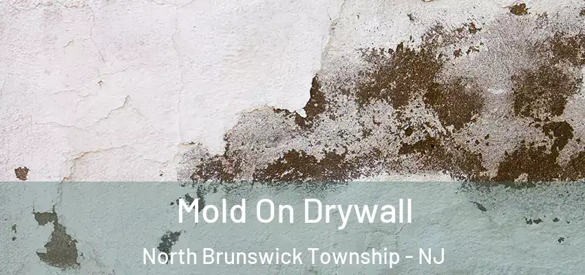  Mold On Drywall North Brunswick Township - NJ