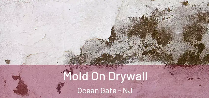  Mold On Drywall Ocean Gate - NJ