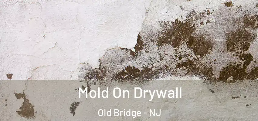 Mold On Drywall Old Bridge - NJ