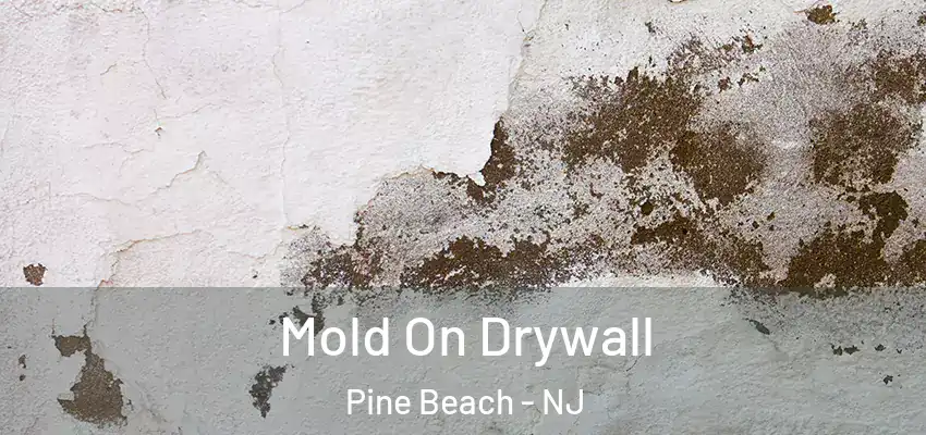 Mold On Drywall Pine Beach - NJ