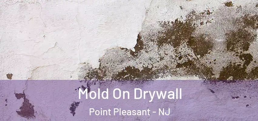  Mold On Drywall Point Pleasant - NJ