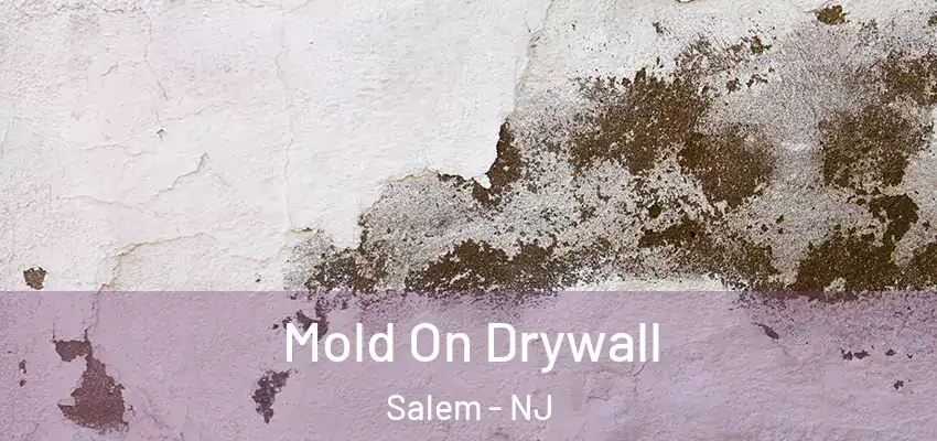 Mold On Drywall Salem - NJ