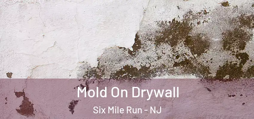  Mold On Drywall Six Mile Run - NJ