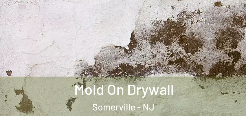Mold On Drywall Somerville - NJ