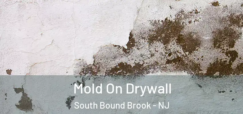  Mold On Drywall South Bound Brook - NJ