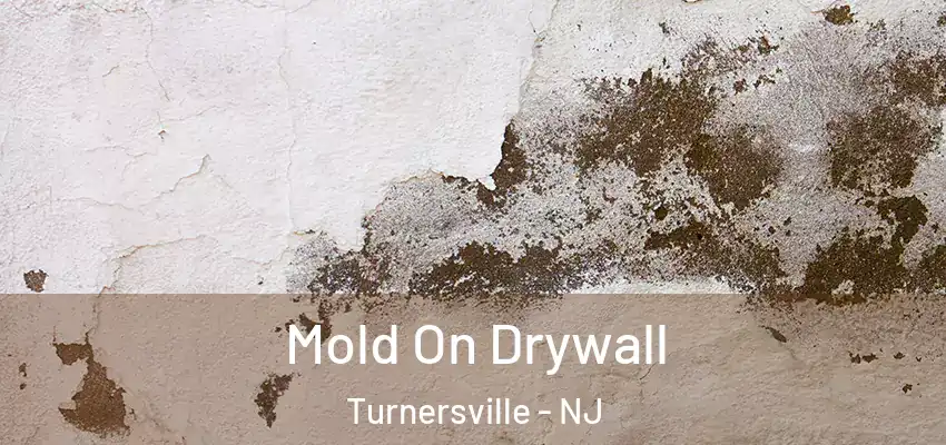  Mold On Drywall Turnersville - NJ
