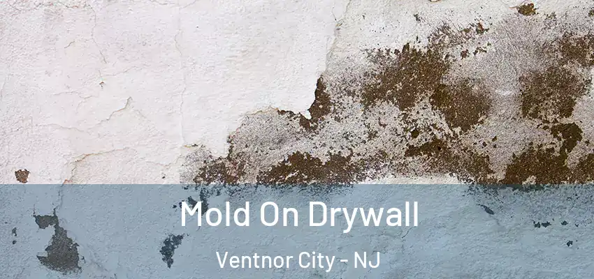  Mold On Drywall Ventnor City - NJ