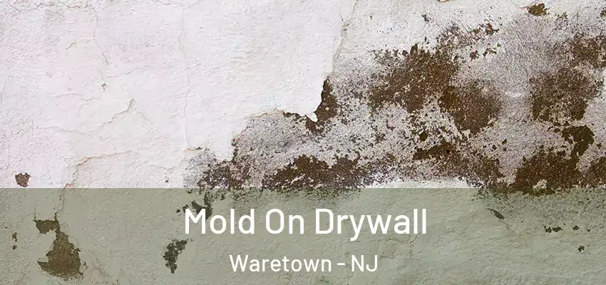 Mold On Drywall Waretown - NJ