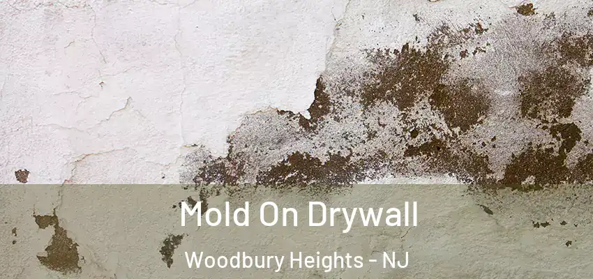 Mold On Drywall Woodbury Heights - NJ