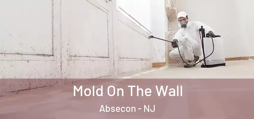 Mold On The Wall Absecon - NJ