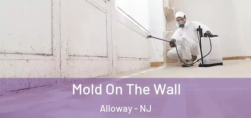  Mold On The Wall Alloway - NJ