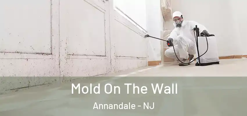  Mold On The Wall Annandale - NJ