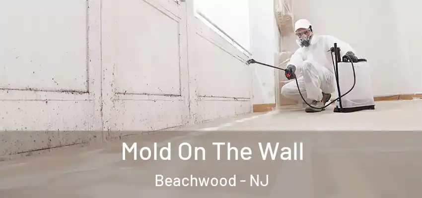 Mold On The Wall Beachwood - NJ