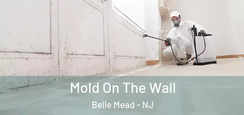  Mold On The Wall Belle Mead - NJ