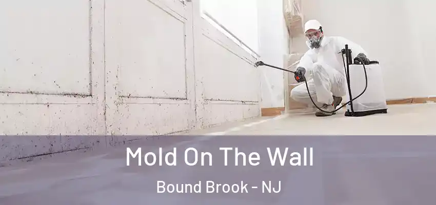  Mold On The Wall Bound Brook - NJ