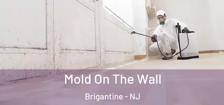 Mold On The Wall Brigantine - NJ