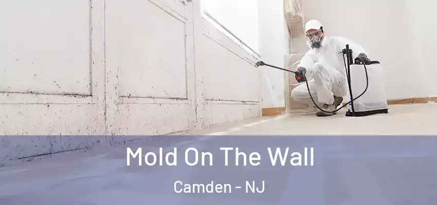  Mold On The Wall Camden - NJ