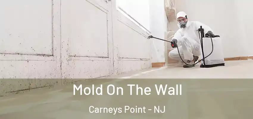  Mold On The Wall Carneys Point - NJ