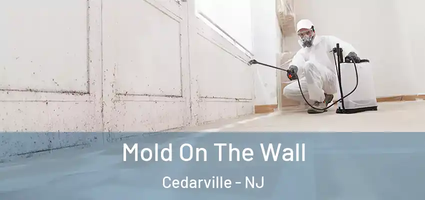  Mold On The Wall Cedarville - NJ