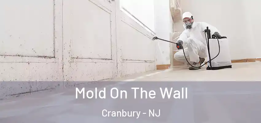  Mold On The Wall Cranbury - NJ