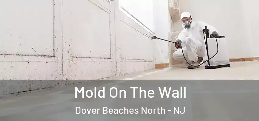 Mold On The Wall Dover Beaches North - NJ