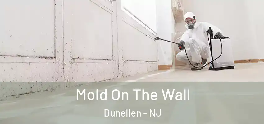 Mold On The Wall Dunellen - NJ