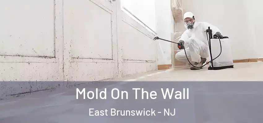 Mold On The Wall East Brunswick - NJ