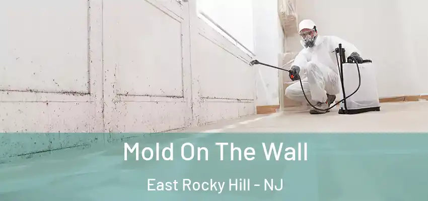 Mold On The Wall East Rocky Hill - NJ