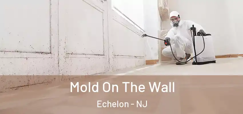  Mold On The Wall Echelon - NJ