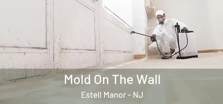  Mold On The Wall Estell Manor - NJ