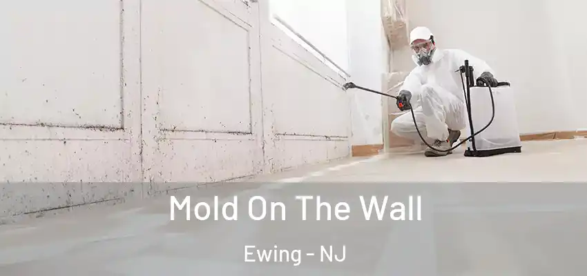  Mold On The Wall Ewing - NJ
