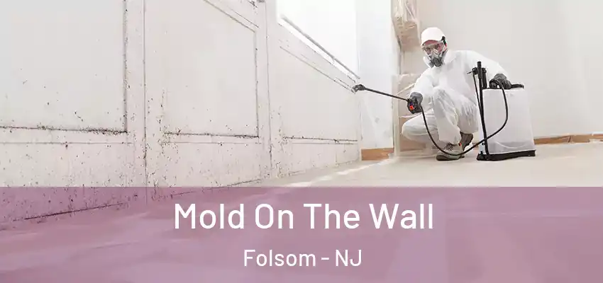 Mold On The Wall Folsom - NJ