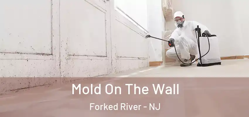  Mold On The Wall Forked River - NJ