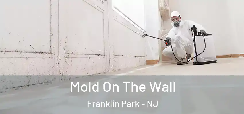 Mold On The Wall Franklin Park - NJ
