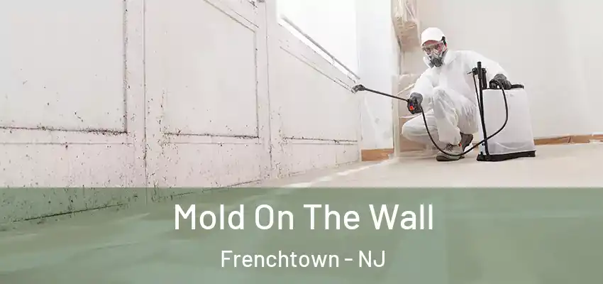 Mold On The Wall Frenchtown - NJ